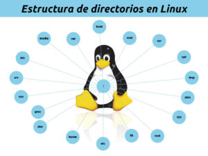 Estructura de directorios en Linux